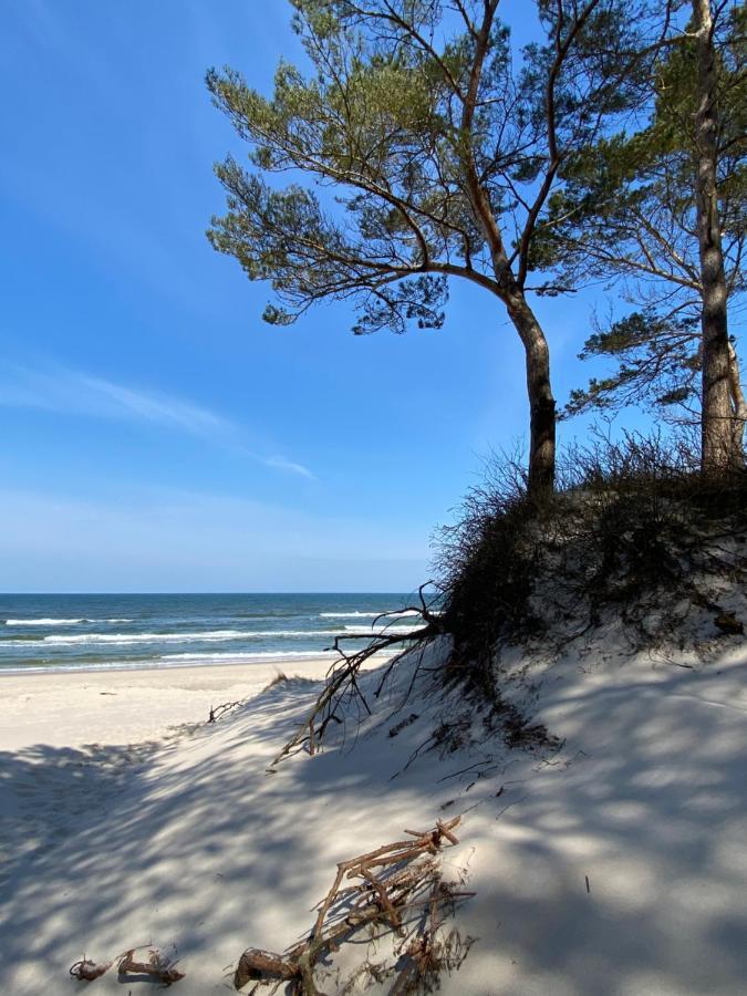 Surf Apartament I Grzybowo  Bagian luar foto